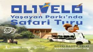 Olivelo Yaşayan Park’ta safari turları başladı