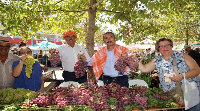 Urla'da Bağbozumu Zamanı