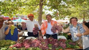 Urla'da Bağbozumu Zamanı