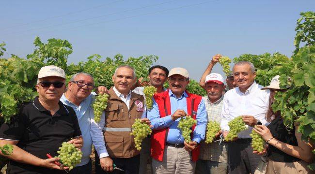 Yaş üzümde 200 milyon dolar aşılacak