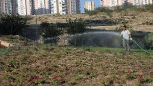 Tugay, 