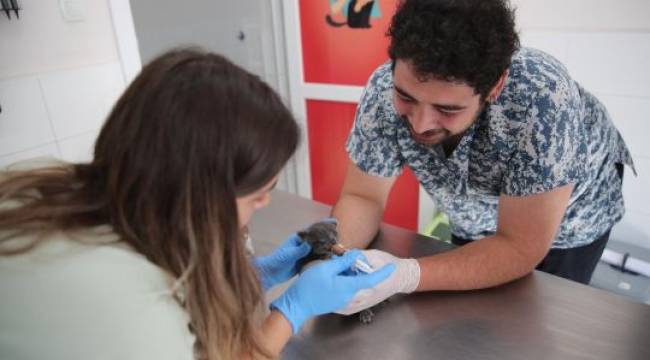 Sevimli Dostlar Değer Görüyor