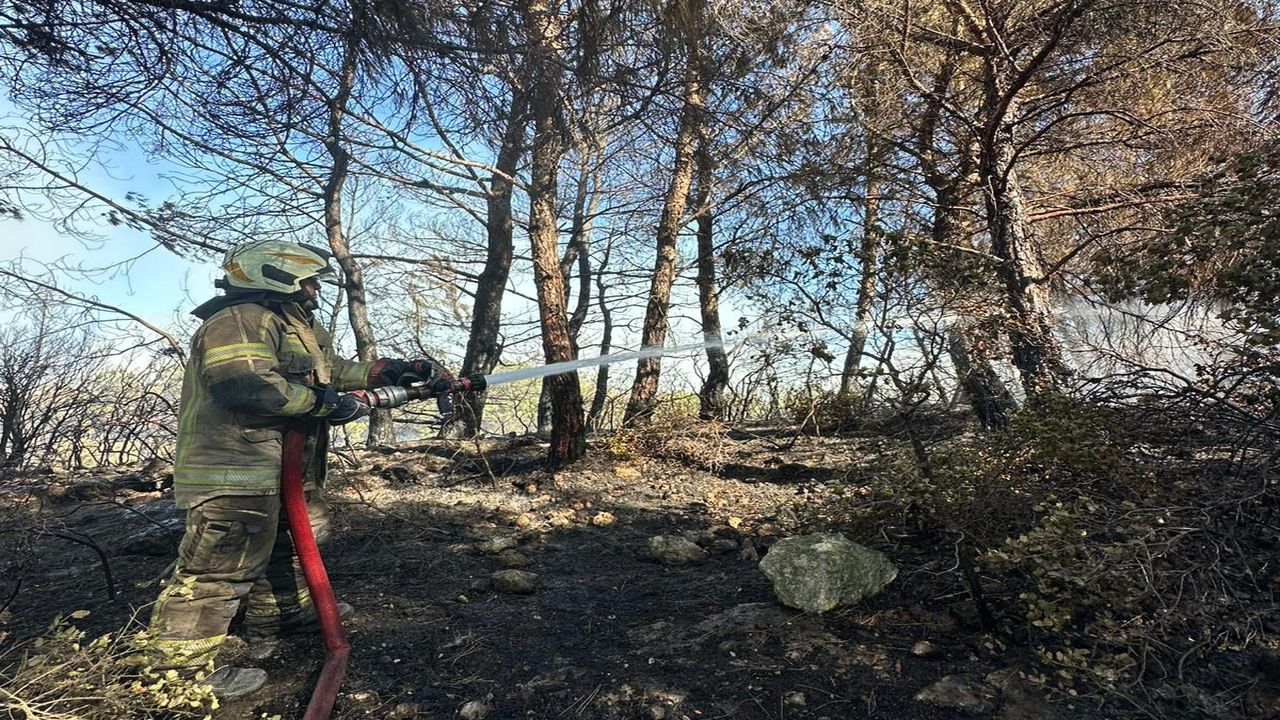 Urla Camiatik’te yangın alarmı