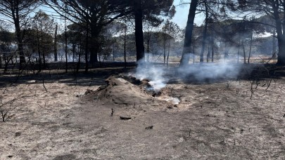 Bergama yangını kontrol altında