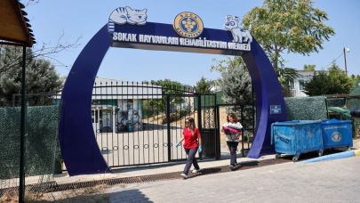 212 patili dost daha yeni ailesine kavuştu