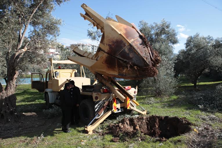 Bornova’da ağaçlara kurtarma operasyonu