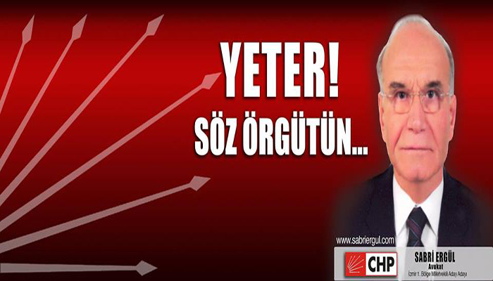 Sabri Ergül, aday adayı