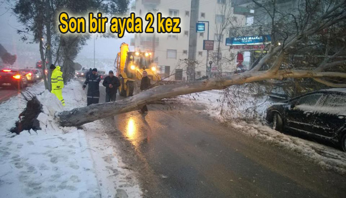 İzmir’in karla imtihanı