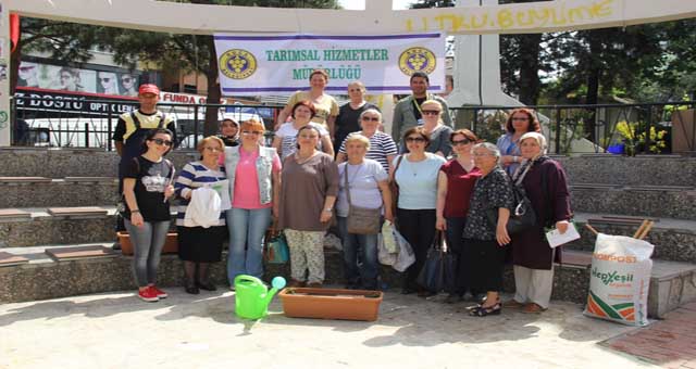 ORGANİK ÜRÜNLER BALKONDA YETİŞECEK