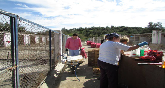 HAYAD BARINAKTAKİ CANLAR  İÇİN BÜYÜK BİR BAHAR TEMİZLİĞİ YAPTI