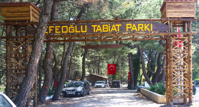 EFEOĞLU TABİAT PARKI’NA ZİYARETÇİ AKINI