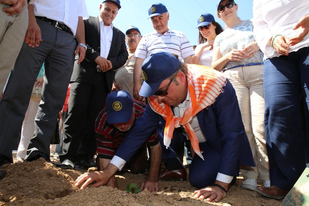 Üzüm Bağı’nın ilk fidanları dikildi
