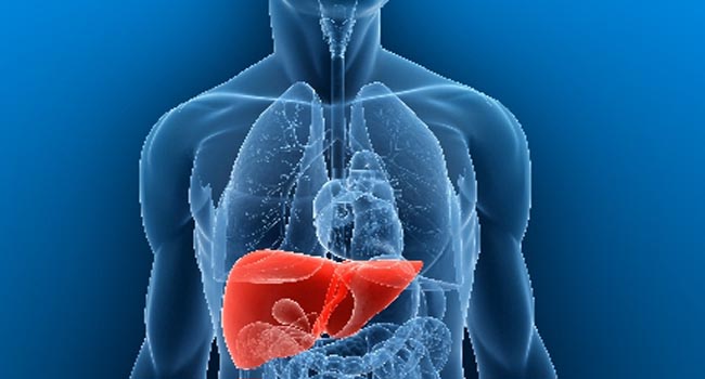 CİĞERİNİZ YAĞLANMASIN