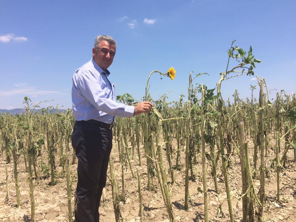 "KINIK ÇİFTÇİSİ DEPRESYONA GİRDİ"‏