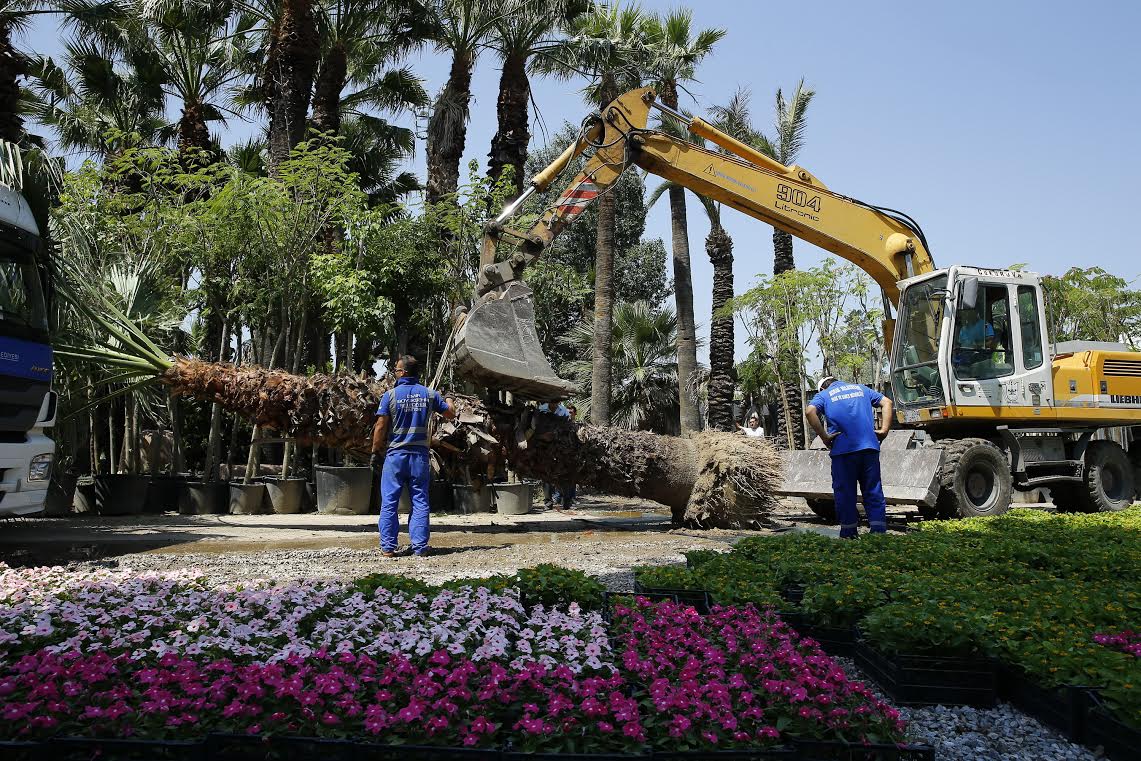 Palmiyelere jet operasyon