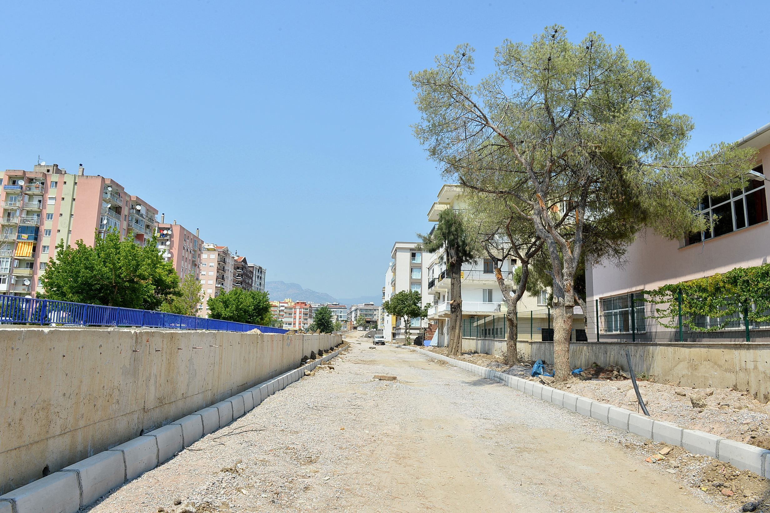 Yol 2 metre kaydırıldı, ağaçlar kurtuldu