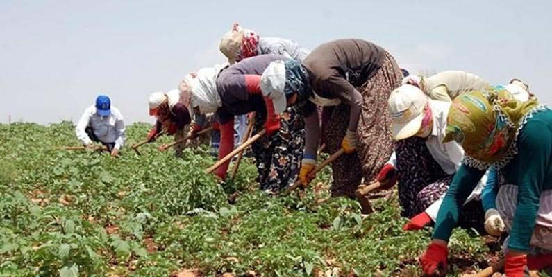 Türkiye’de kayıt dışı istihdam azalıyor