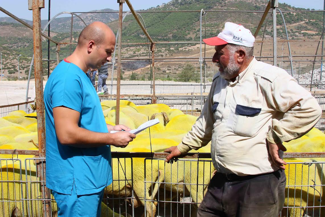 Bayraklı’da kurban alacaklara uyarılar