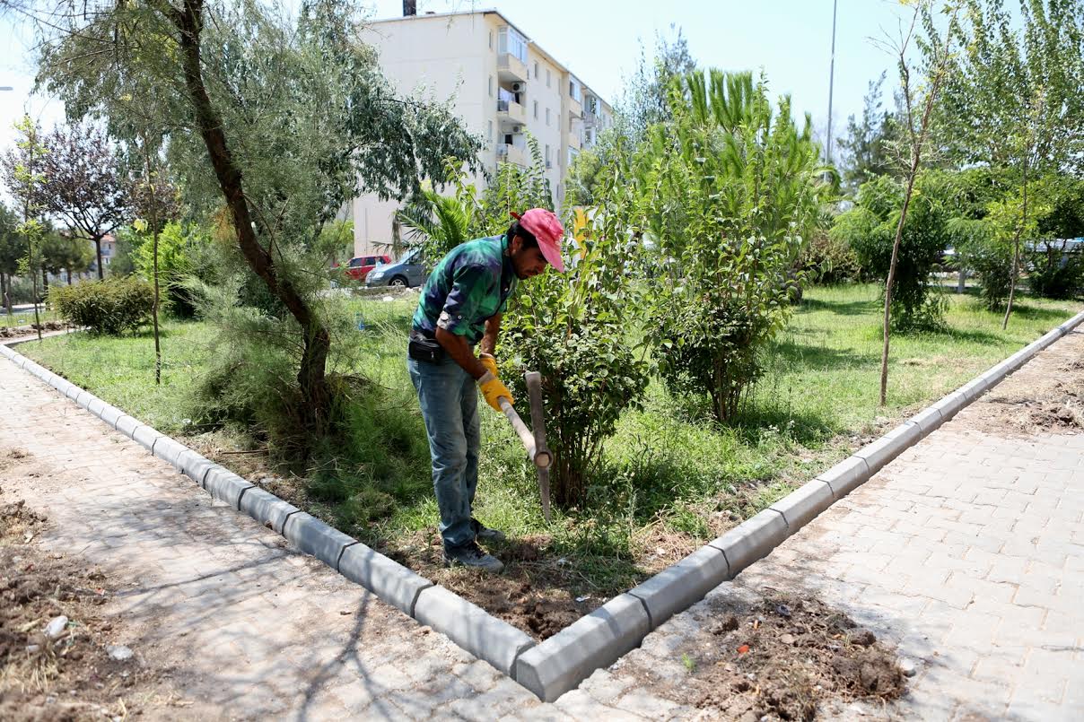 Bornova’da park rekoru