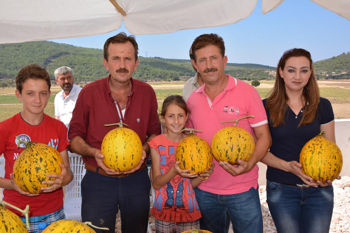 NOHUTALAN KAVUN FESTİVALİ BAŞLIYOR