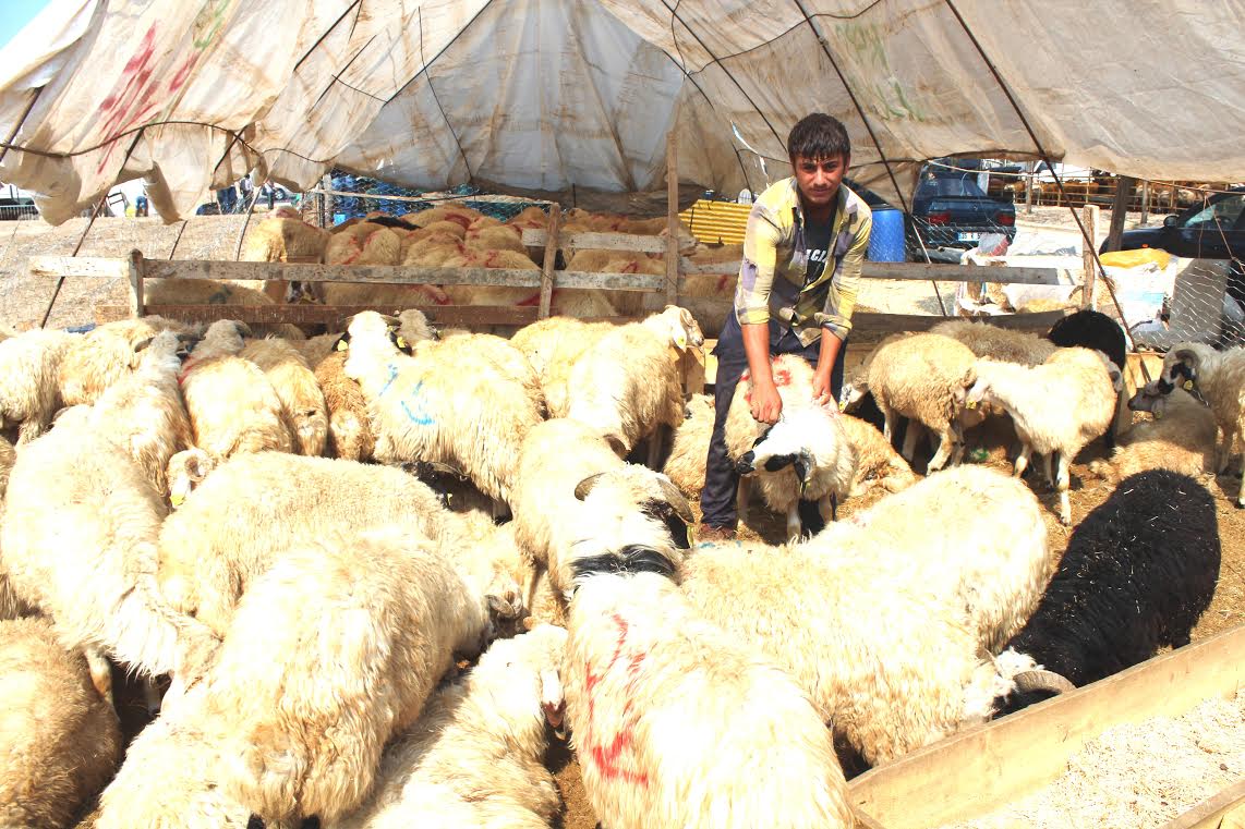 TÜRK İNSANI KURBAN’DA GELENEĞİNE SAHİP ÇIKTI