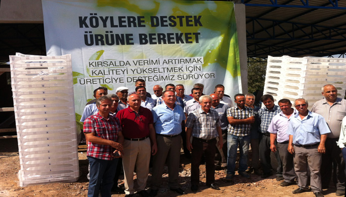 Sıra incir üreticilerinde