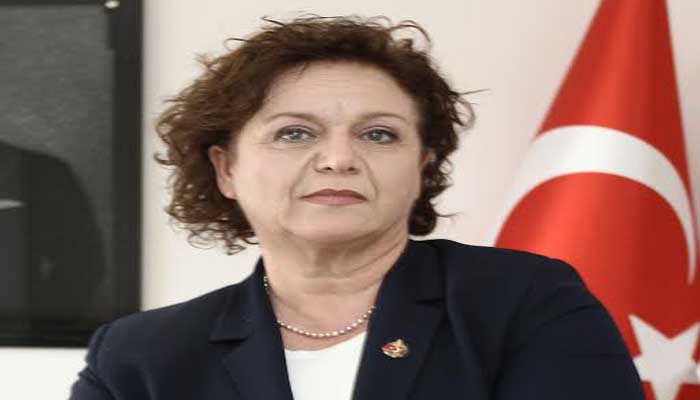 Dikmen: Hukuk yok sayıldı, gazetecilik tutuklandı