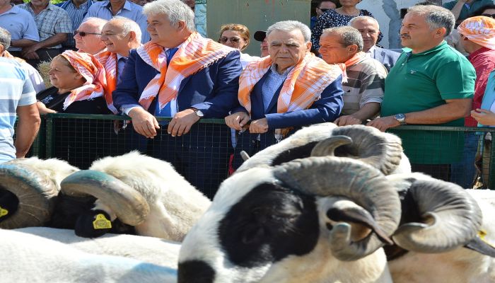 “Koç” gibi proje