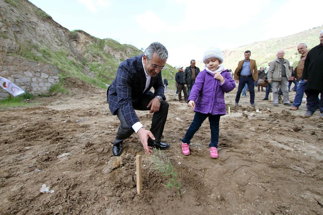Fidan dikmeyene ruhsat yok
