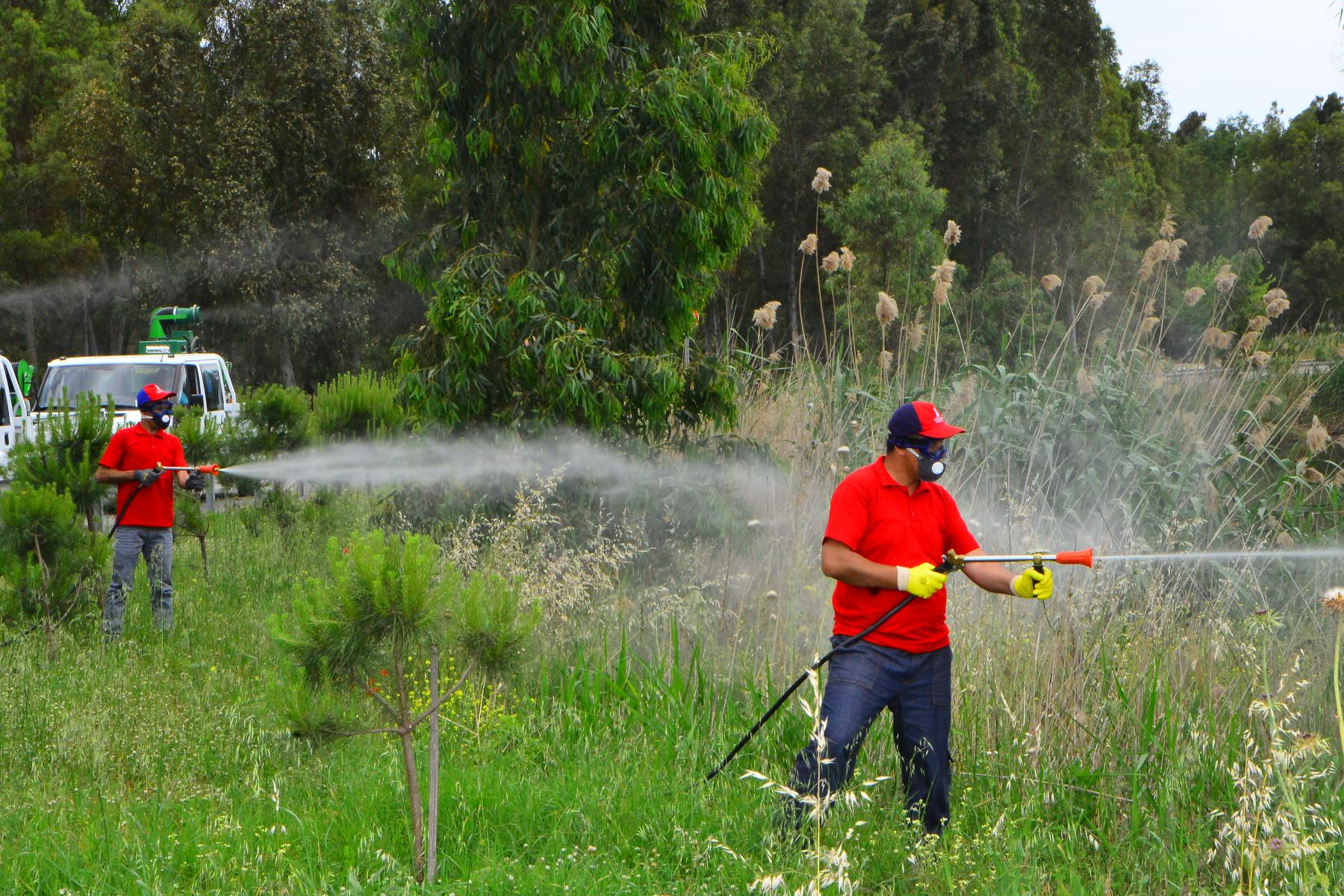 Sivrisinek mücadelesine “Avrupalı” destek