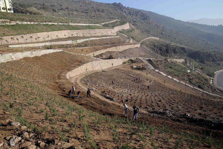 Karşıyaka’ya ‘yeşil’ örtü