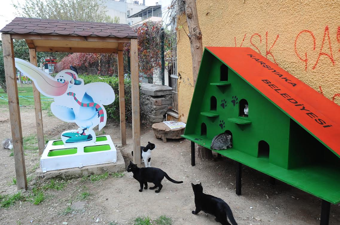 Can dostlar ‘ev’lendi