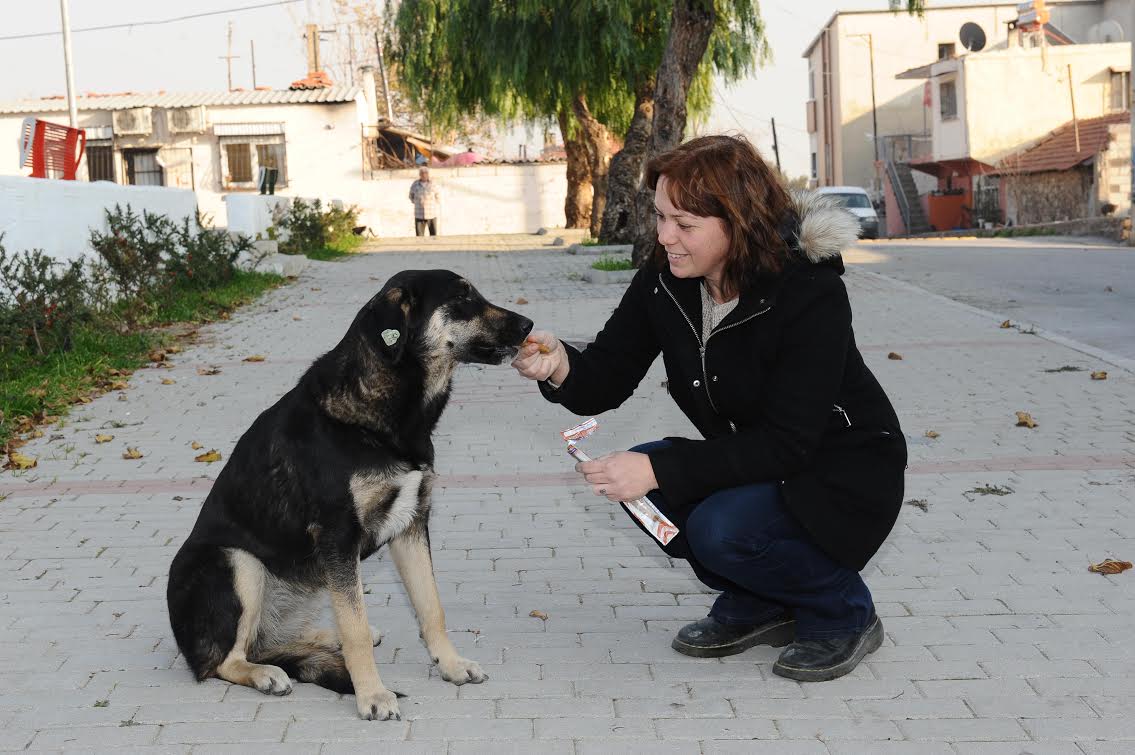 Can dostlara yılbaşı menüsü
