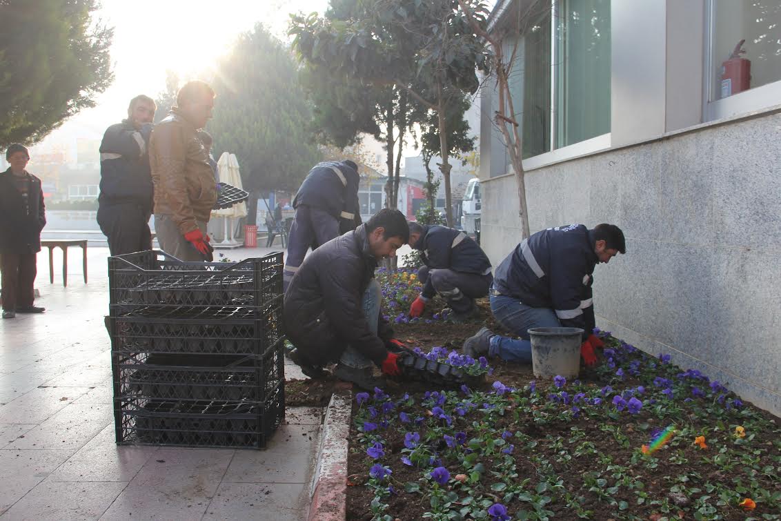 Menderes’te Kışlıklar Çıktı