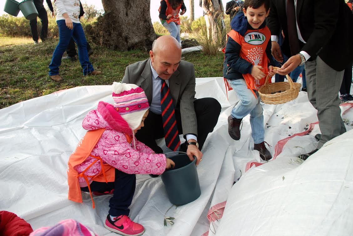 BİN YAŞINDAKİ ZEYTİN AĞAÇLARINDAN SIKILAN ZEYTİNYAĞLARI SATIŞA ÇIKIYOR