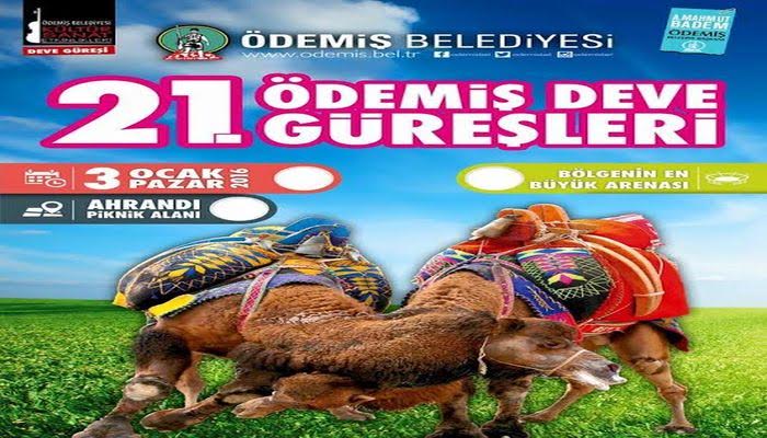 ÖDEMİŞ'TE 21. DEVE GÜREŞLERİ