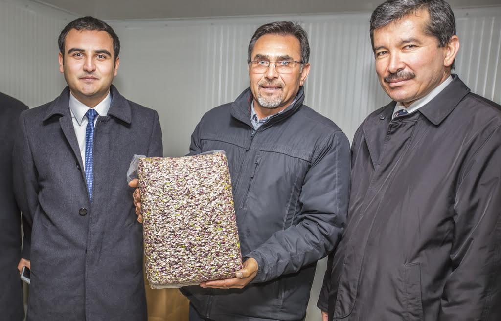 “Yeşil Altın” Seferberliği Başlatılıyor
