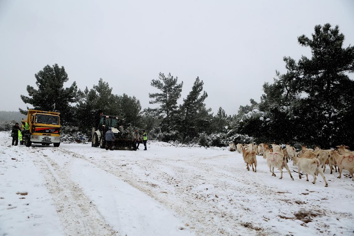 Bornova Belediyesi’nin kar mesaisi