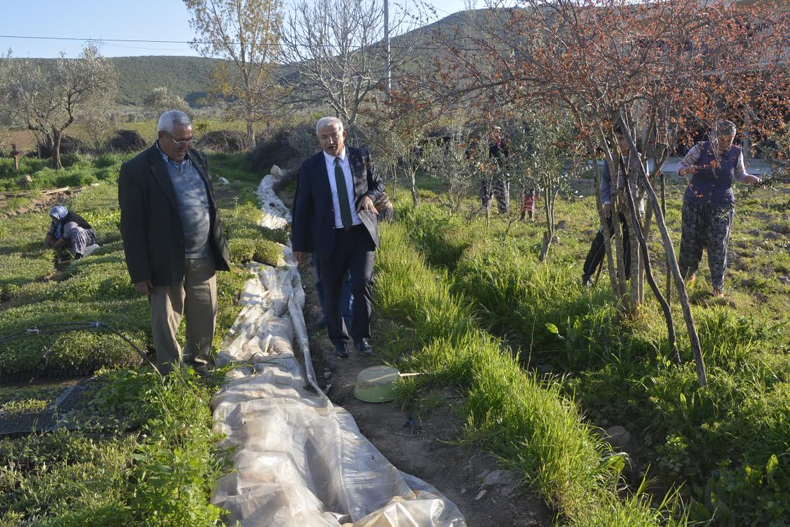 BELEDİYEDEN UYARI: ‘LÜTFEN KIYMAYIN’