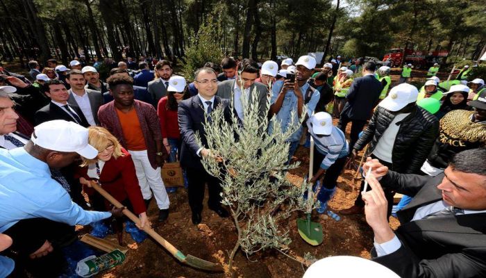 5 Bin Köye 5 Bin Orman