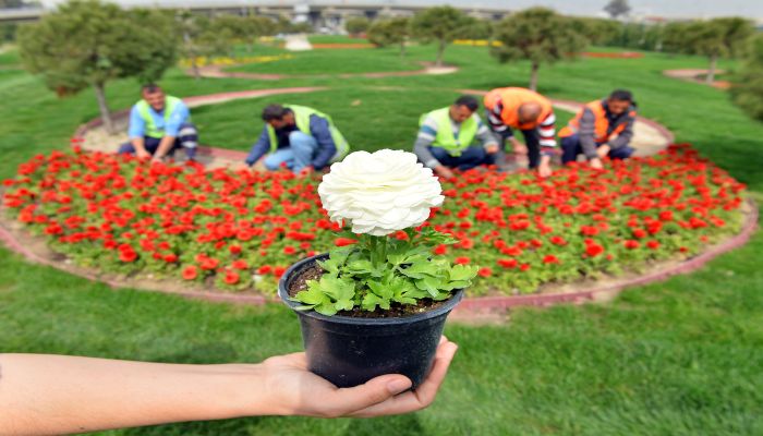 Tablo değil gerçek!