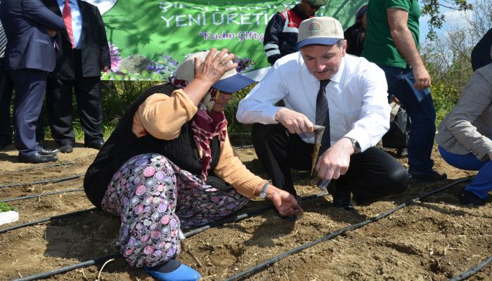 Şifalı Bitkilerin Yeni Üreticileri, İzmirli Çiftçi Kadınlar