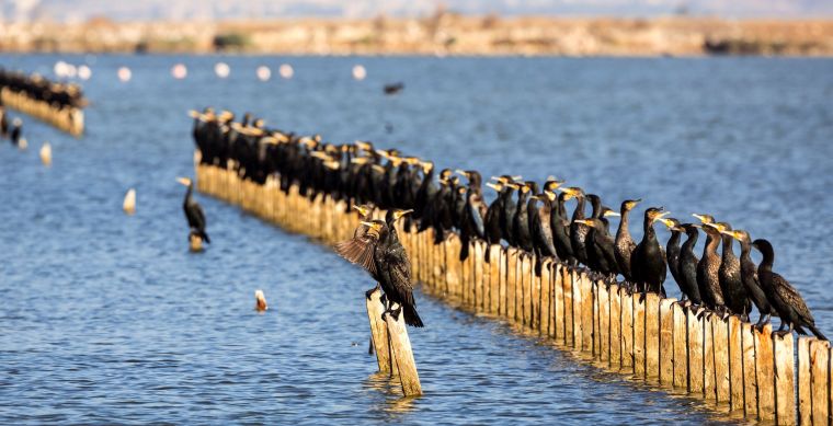 Foto Safari’de ödül zamanı