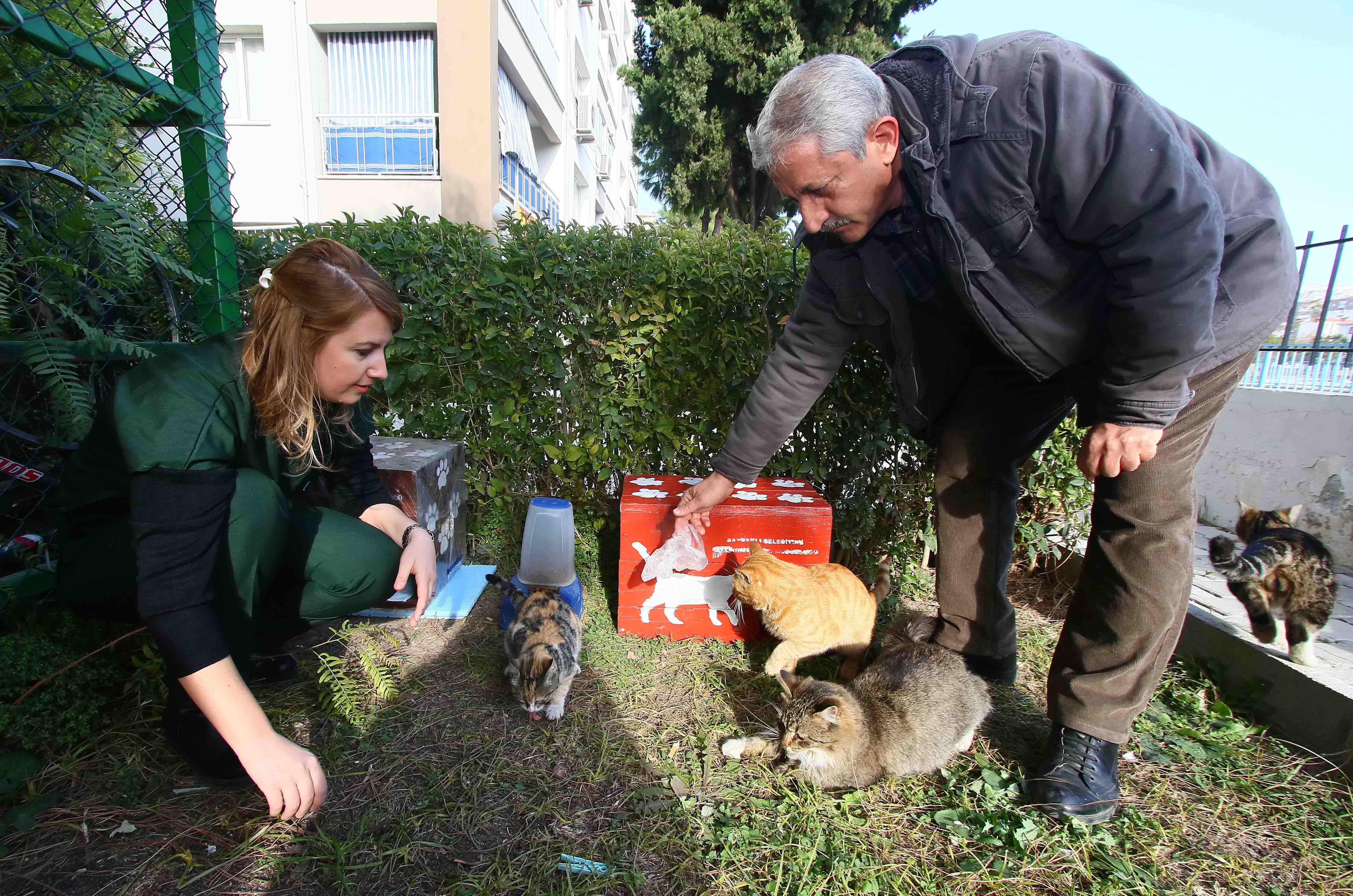 Can dostlar “ev”lerini sevdi