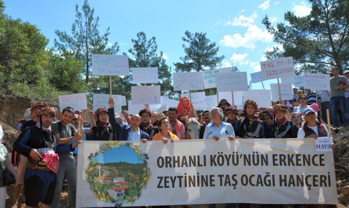 İzmir’in Erkence Zeytinine Taş Ocağı Hançeri!