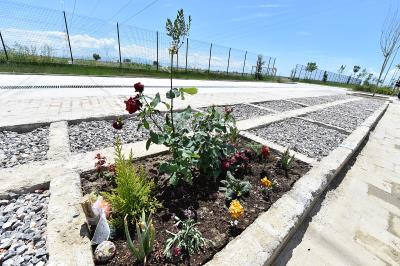 Can dostlarımızın hatırası için