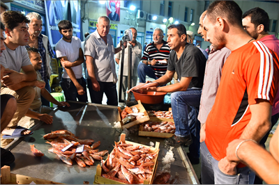 Derya kuzusu bunlar!