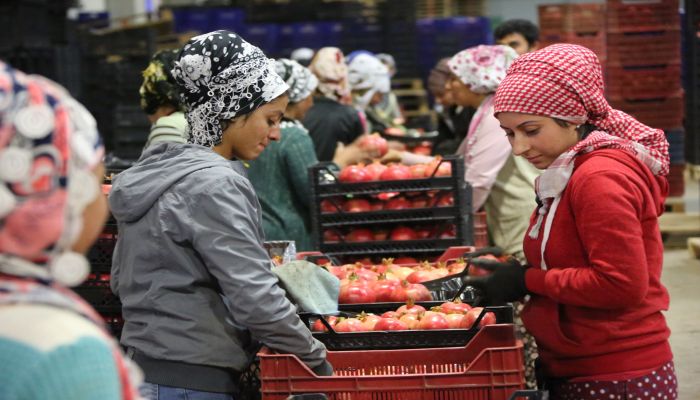 Çiftçi Dostu Belediye