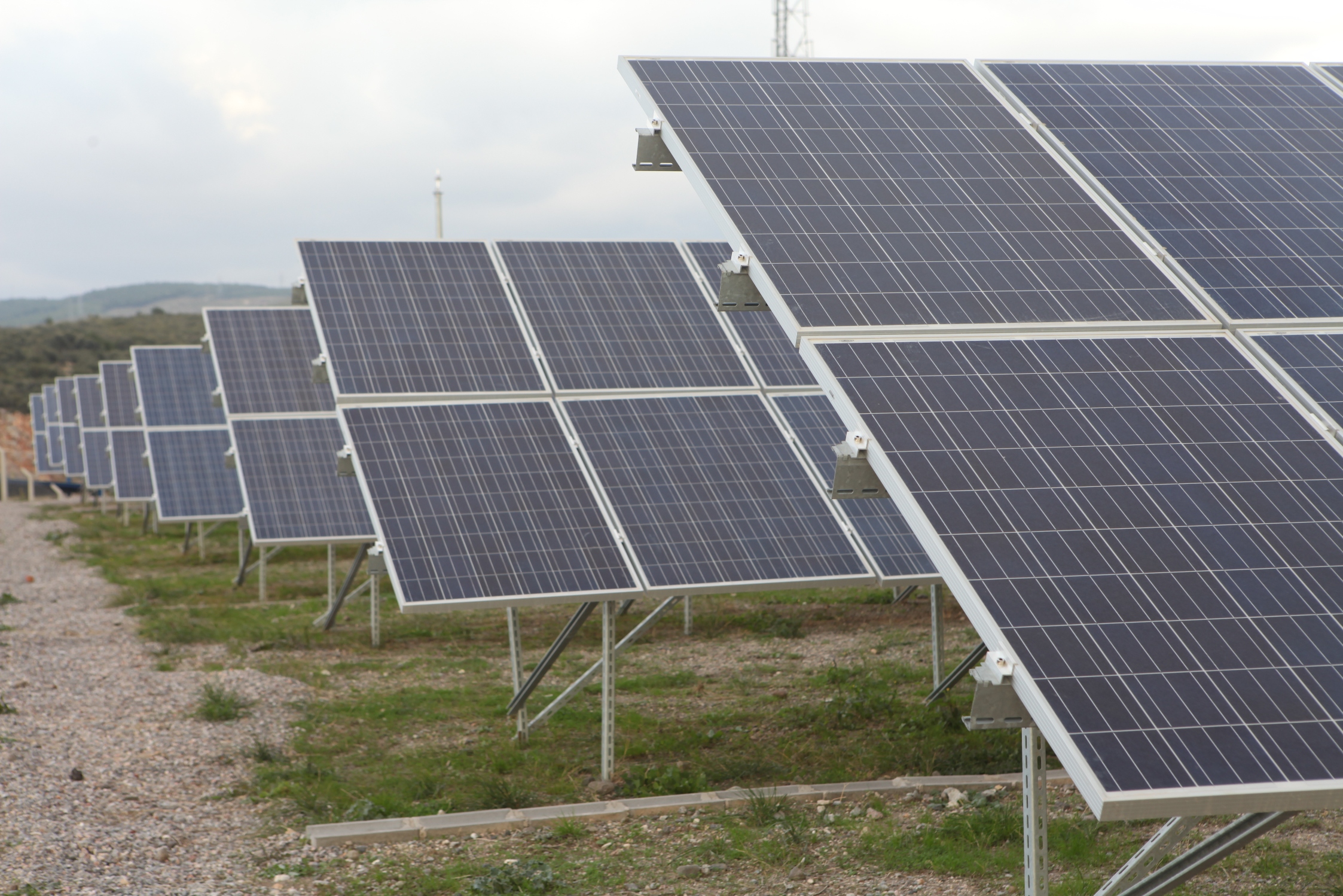 Bornova çevreci ve yenilenebilir enerjide örnek oluyor