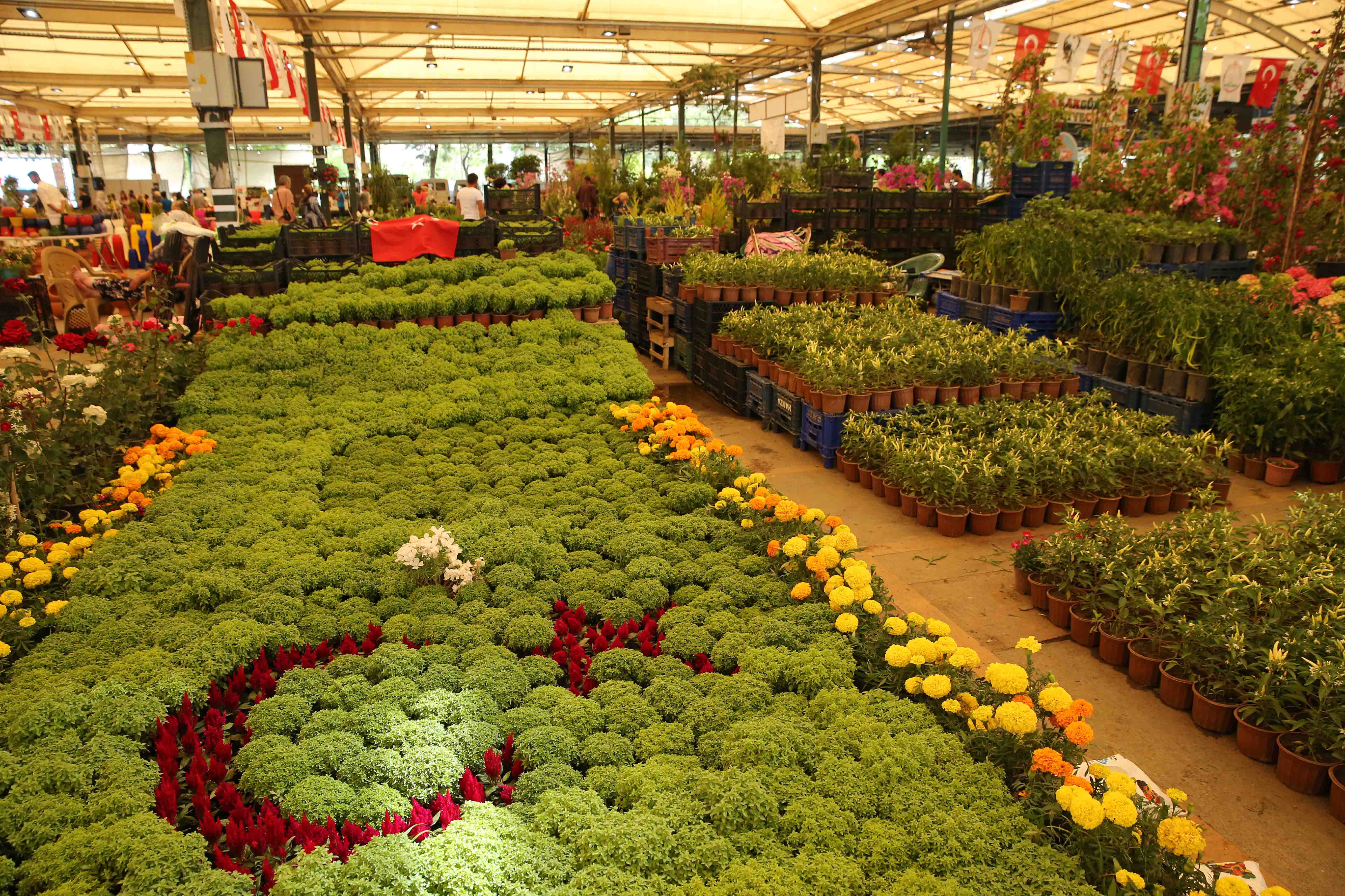 En renkli festival başladı